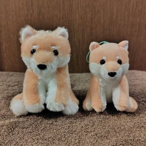 【くったり柴犬】しばお ぬいぐるみキーホルダーMLC&VMC