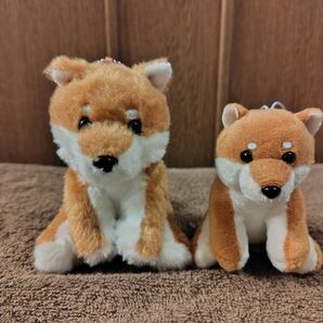 【くったり柴犬】ちゃーこ ぬいぐるみキーホルダーMLC&VMC