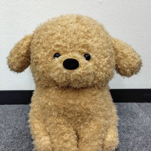 【トイプードルのモコフィーファイン】モカフィー げんき ぬいぐるみ ウルトラBIG