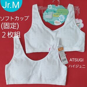ジュニア 女の子 肌着 アツギ ATSUGI ハイジュニ はじめてブラ スポーツブラ ジュニアブラ ファーストブラ 2枚組 M