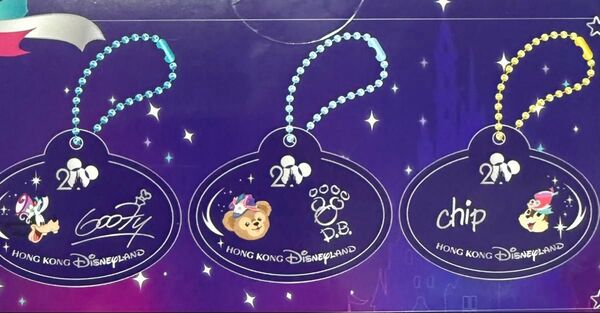 チップ ネームタグ ネームプレート ストラップ 香港ディズニーランド 20周年 チャーム キーホルダー サイン