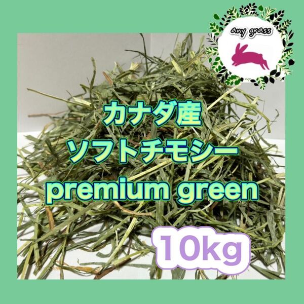 カナダ産ソフトチモシーpremium green 10kg 圧縮 無選別