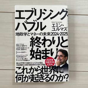 エブリシング・バブル 終わりと始まり これから世界に何が起きるのか?