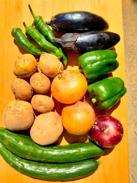 新鮮ミニ野菜詰め合わせセット