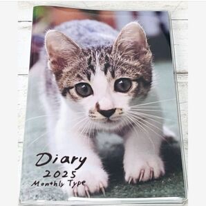 【ナカバヤシ】猫/ネコ/ねこダイアリーR7.2025年〜2026年3月/月間ノートタイプ A6×1冊