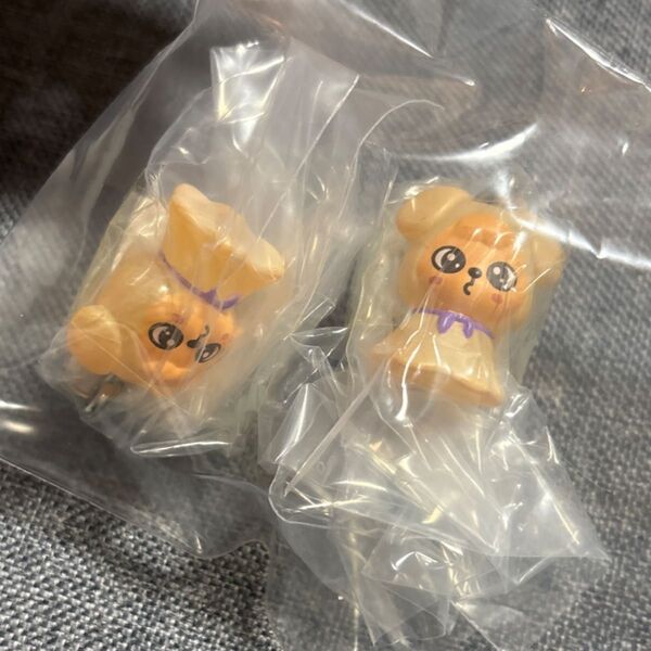 SKZOO スンミン パピーム めじるしアクセサリー2つセット