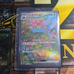 【傷有り特価!】フシギバナex SAR sar