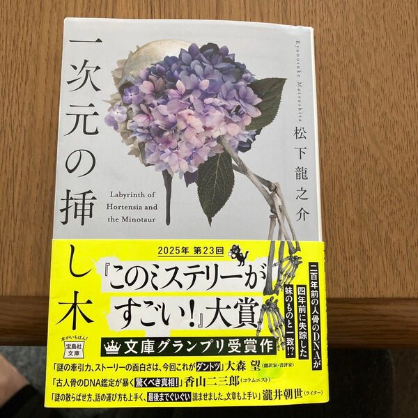一次元の挿し木 (宝島社文庫 Cま-5-1 このミス大賞) 松下龍之介/著