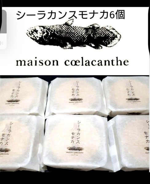 メゾンシーラカンスモナカ6個 仙台お土産 人気商品カズノリイケダ