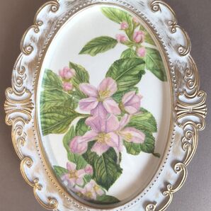 簡易額縁入り水彩画 原画 "Apple Flowerアルプスの乙女" 透明水彩 真作 ポストカードサイズ