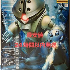 【未組立】MG 1/100 アッガイ