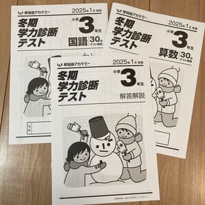 冬期学力診断テスト 2024年3月 早稲田アカデミー