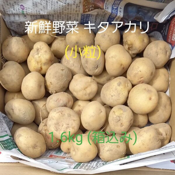 新 じゃがいも 無農薬栽培 キタアカリ 小粒 素揚げ