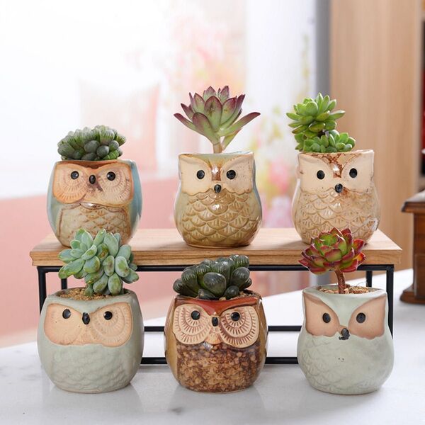 【6個組】フクロウ 多肉 植物鉢 サボテン鉢 底穴付き ガーデニング 庭 観葉植物 ミニ植物