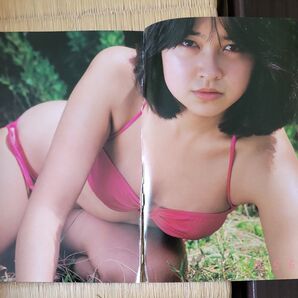 石川ひとみ 高田みづえ 榊原郁恵 文庫サイズ切り抜き 水着ビキニ 昭和アイドル