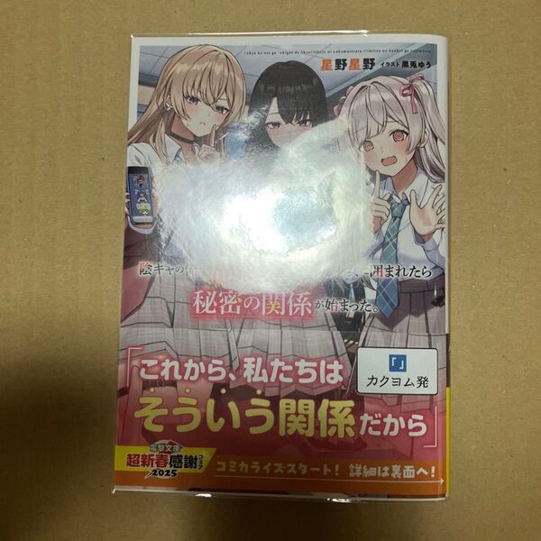 陰キャの俺が席替えでS級美少女に囲まれたら秘密の関係が始まった。 (電撃文庫 4285) 星野星野/〔著〕