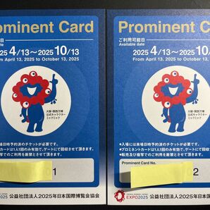 大阪関西万博優先入場補助券