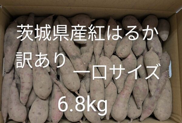 茨城県産紅はるか 訳あり 細長.一口サイズ