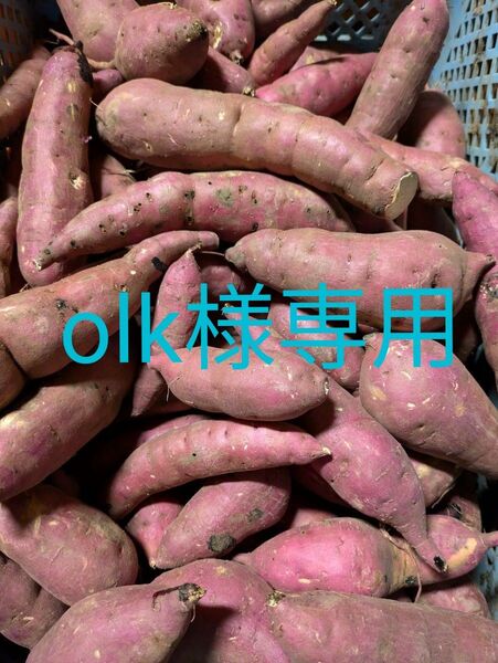 茨城県産紅はるか