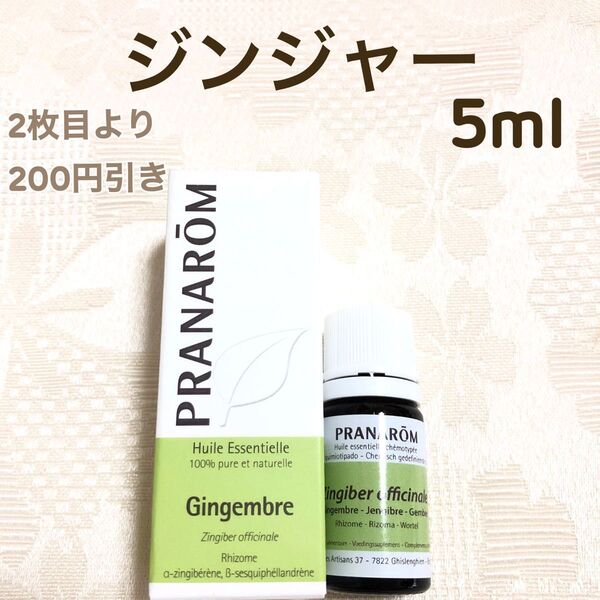 【ジンジャー】5ml プラナロム 精油