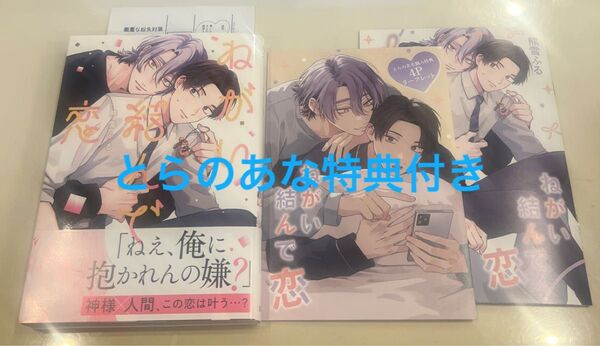 ねがい結んで恋 熊雪ふる とらのあな 小冊子 リーフレット ペーパー