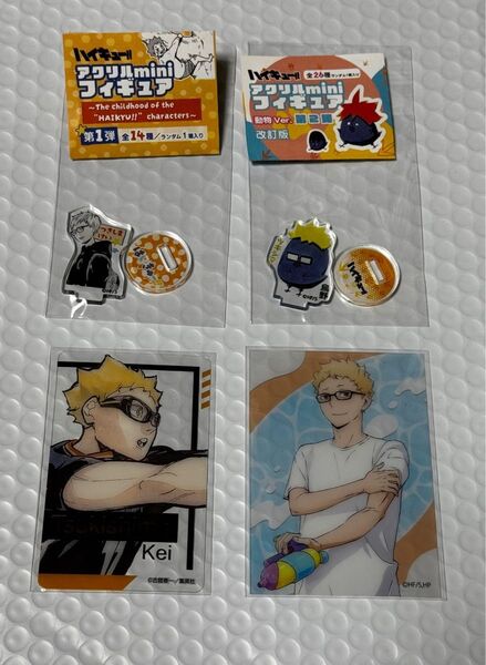 ハイキュー 月島蛍 ファンパーク アクリルminiフィギュア 箔押し水遊び クリアカード