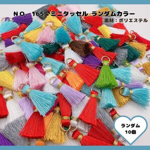 No.165 ミニタッセル 10個セット♪