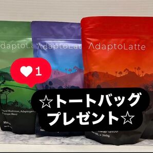 アダプトラテ3種類 ☆オリジナル・抹茶・デカフェセット