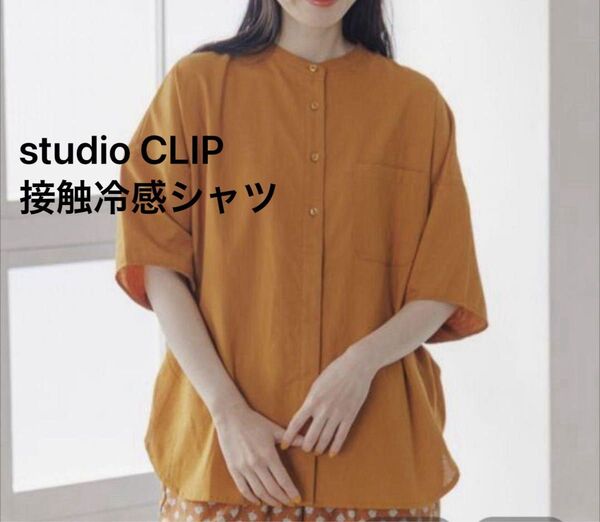 studio CLIP 接触冷感 ドルマンシャツ スタジオクリップ 5部袖 バンドカラー ブラウス リネン ゆったり 大きめ