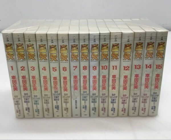 聖闘士星矢 文庫版 全15巻