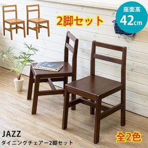 【新品 送料無料】ダイニングチェア 2脚セット 椅子 イス 食卓椅子 チェア リビングチェア おしゃれ椅子 オフィスチェア イス