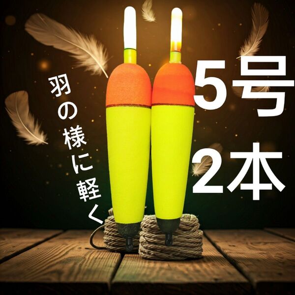 電気ウキ 5号 2本セット 発泡ウキ カゴ釣り ウキ釣り 夜釣り EVAウキ 遠投カゴ釣り 超軽量 軽量 ウキ 冨士灯器 ハピソン