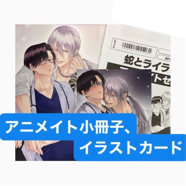 蛇とライラック アニメイト有償特典小冊子、アニメイト特典イラストカード