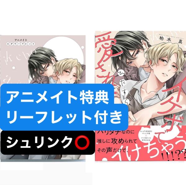 イケボでひたすら愛されたい アニメイト特典4Pリーフレット付き