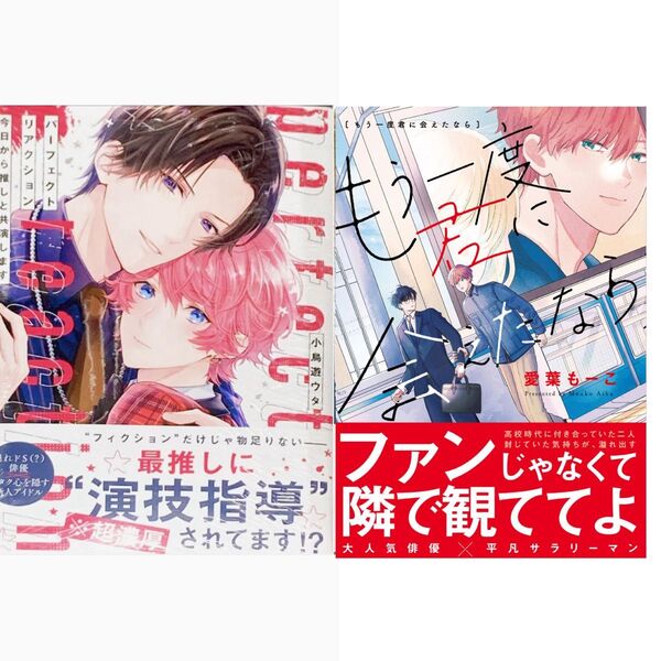 もう一度君に会えたなら パーフェクトリアクション 今日から推しと共演します