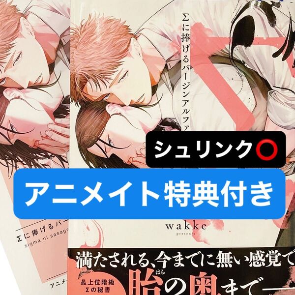 Σに捧げるバージンアルファ アニメイト特典4Pリーフレット付き
