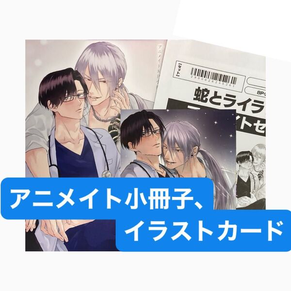 蛇とライラック アニメイト有償特典小冊子、アニメイト特典イラストカード