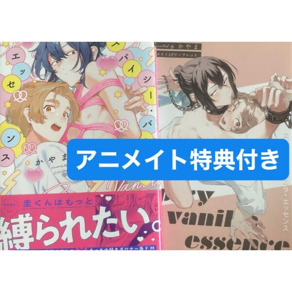 スパイシー・バニラ・エッセンス アニメイト特典4Pリーフレット付き