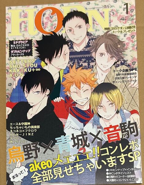 ハイキュー同人誌 オールキャラ カラーイラスト