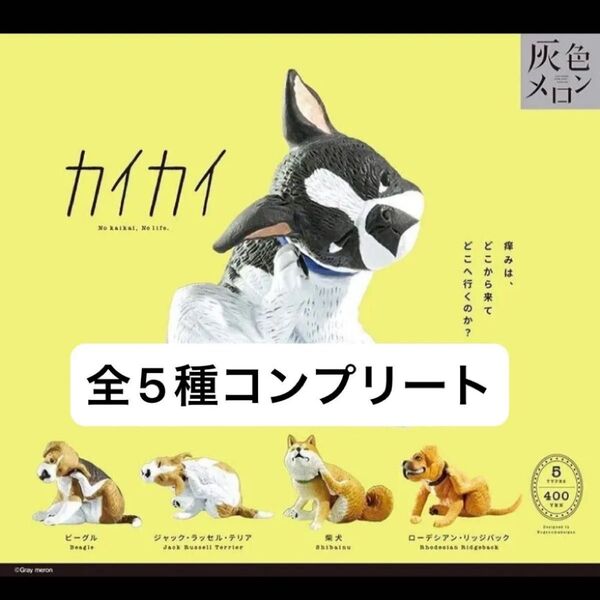 全5種フルコンプセット灰色メロン カイカイ ガチャ いぬ 犬 イヌ 柴犬 ビークル テリア カプセルトイ