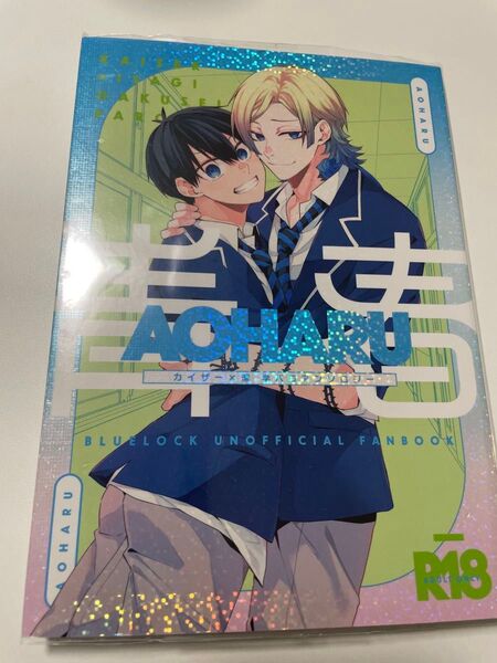 ブルーロック カイ潔 同人誌 ④