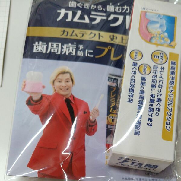カムテクト 史上最強プレミア 歯磨き粉 歯周病予防 冊子付き 未使用