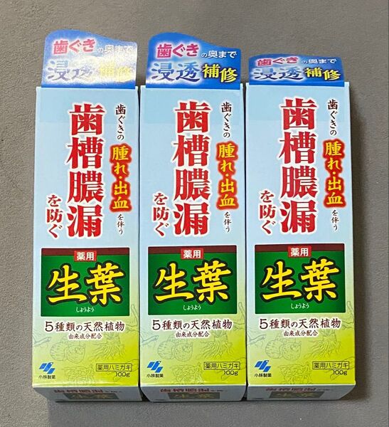 生葉 歯槽膿漏を防ぐ 薬用ハミガキ 100g 3本