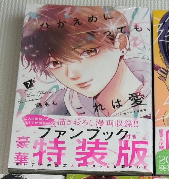 ひかえめに言っても、これは愛7 小冊子付き特装版