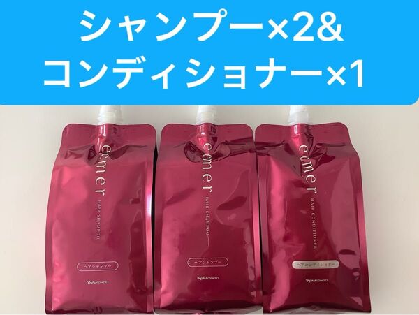 新入荷ナリス化粧品エクメール シャンプー400mlx2袋+コンディショナー400mlx1袋