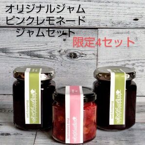 珍しいピンク色のブルーベリージャム1本と普通のブルーベリージャム2本のセット(限定4セット)農家の手作り保存料無添加