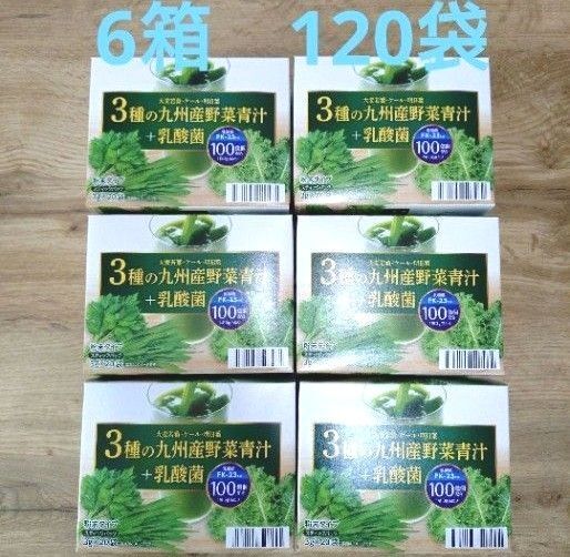 青汁 国産 九州産野菜青汁 + 乳酸菌100億個 大麦若葉 ケール 明日葉 乳酸菌 6箱 野菜 飲料 健康飲料 美容