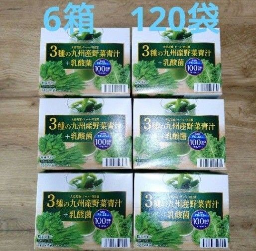 青汁 国産 九州産野菜青汁 + 乳酸菌100億個 大麦若葉 ケール 明日葉 乳酸菌 6箱 野菜 飲料 健康飲料 美容