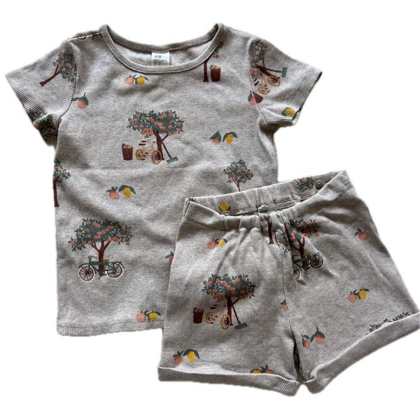 H&M セットアップ