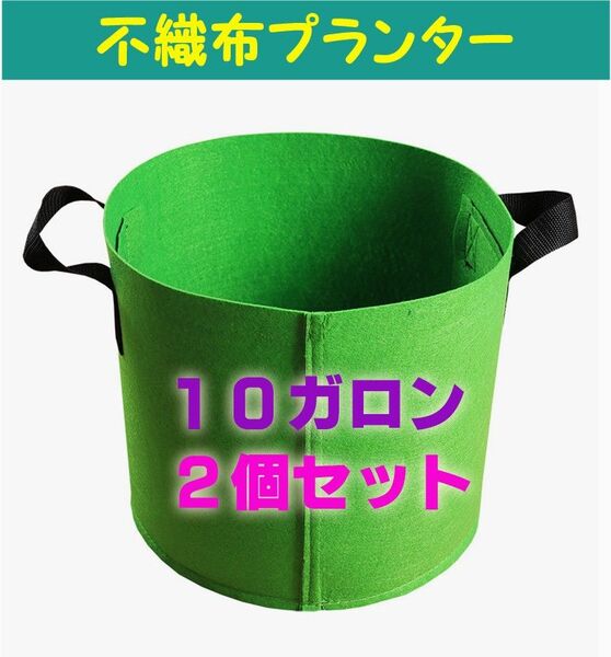 不織布 プランター 布鉢 グリーン 栽培 家庭菜園 10ガロン 2個セット